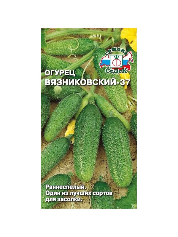 Огурец Вязниковский 37 о/г (ранний, ПО, ОГ, 9-11см, 80-130г, плотн,стабил.урож, один из лучших для - купить по цене 27.80 ₽ в ДоброСтройМагнитогорск